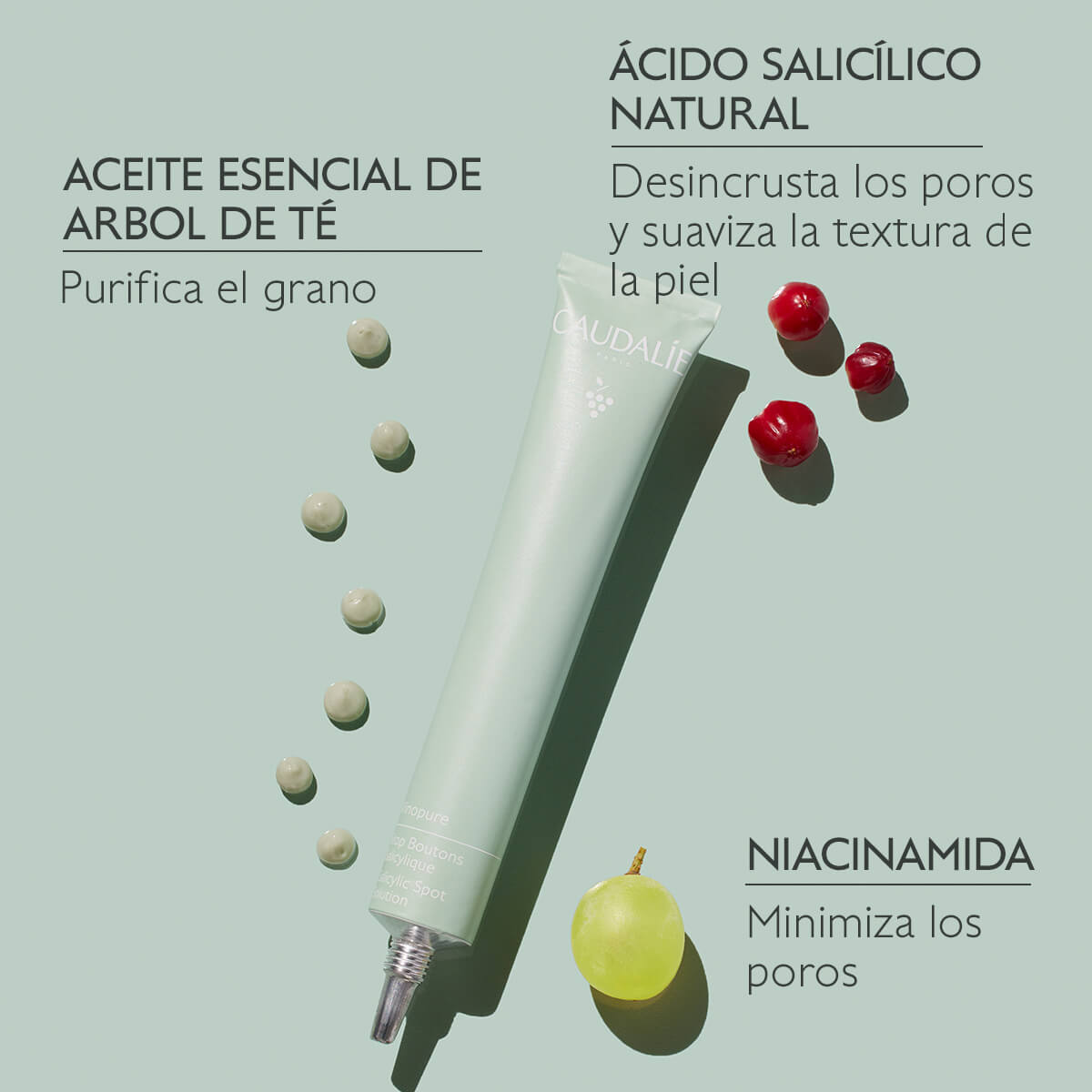 VINOPURE SOLUCIÓN LOCALIZADA CON ÁCIDO SALICÍLICO